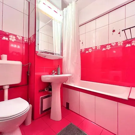 Victoriei Central Studio Apartment *