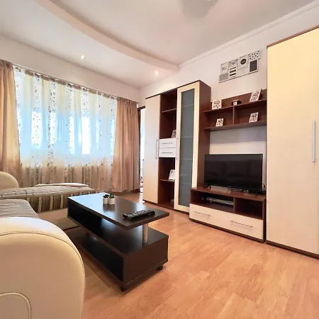 Apartment Victoriei Central Studio *