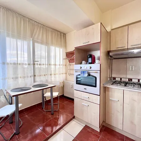 Victoriei Central Studio Apartment