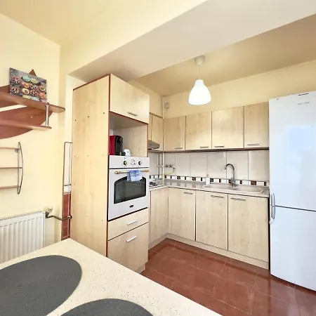 Apartment Victoriei Central Studio